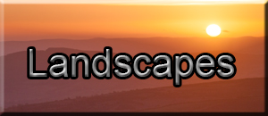 Landscapes